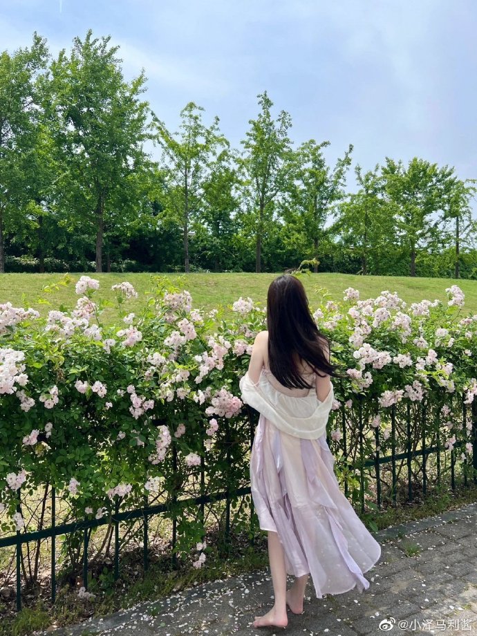 手机也能自动续播 · 现实题材